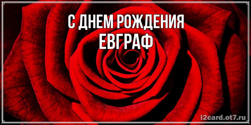 Открытка на каждый день с именем, Евграф С днем рождения алая роза Прикольная открытка с пожеланием онлайн скачать бесплатно 