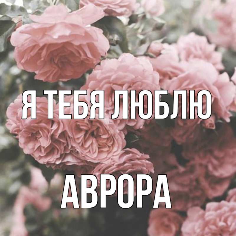 Картинка Я тебя люблю, Аврора