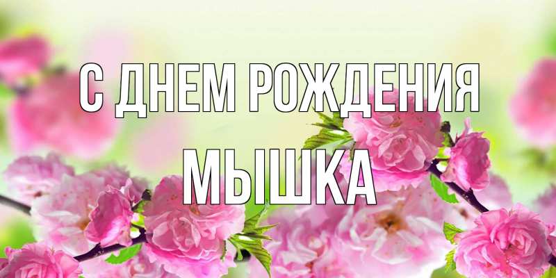 Картинка С днем рождения, Мышка