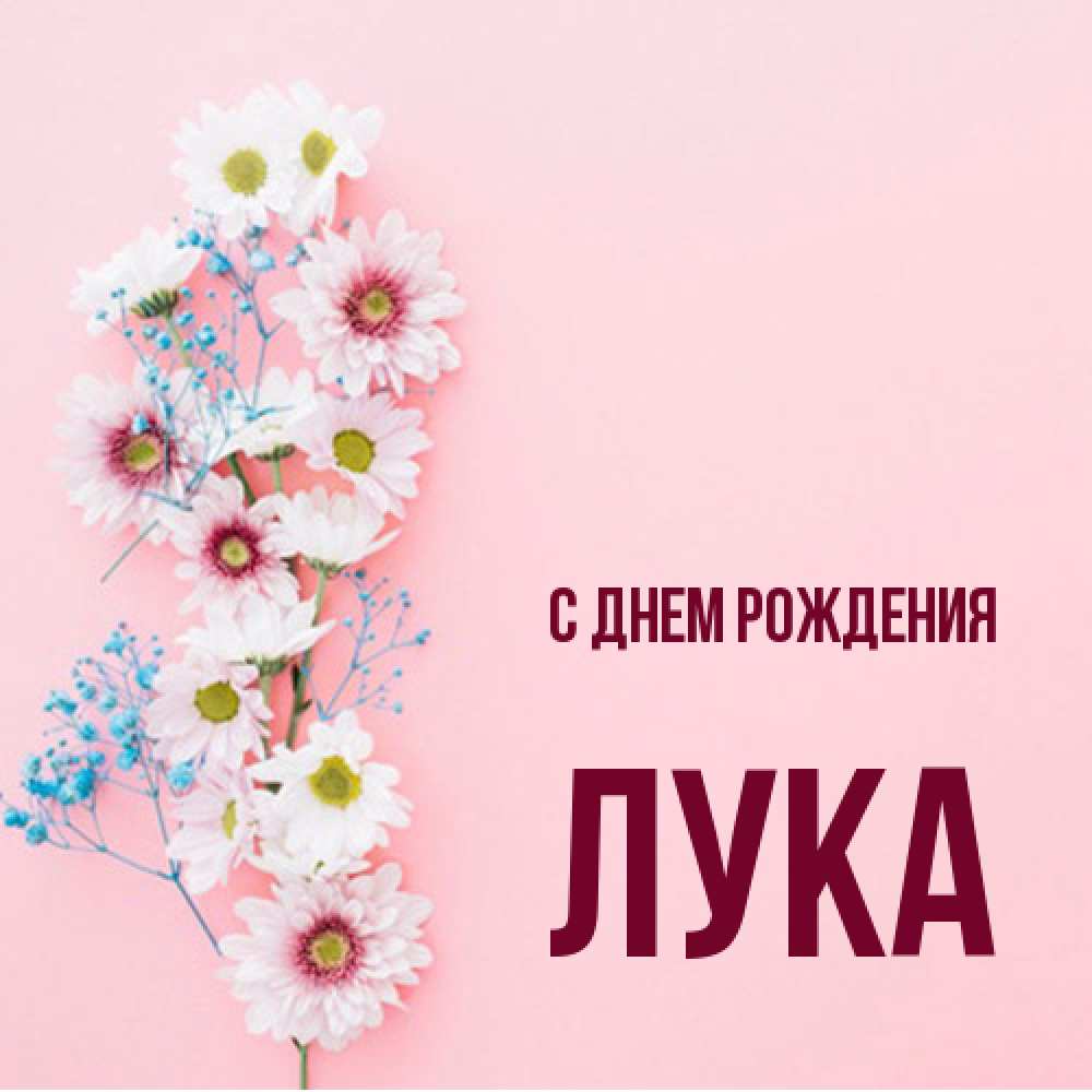 Открытка на каждый день с именем, Лука С днем рождения Родная моя с днем рождения тебя картинка с цветами белыми и голубыми Прикольная открытка с пожеланием онлайн скачать бесплатно 
