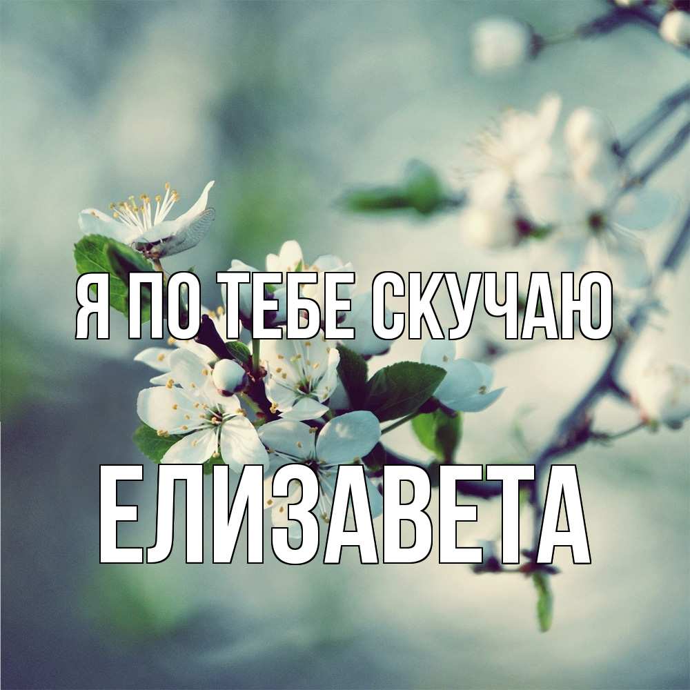 Открытка на каждый день с именем, Елизавета Я по тебе скучаю весна Прикольная открытка с пожеланием онлайн скачать бесплатно 