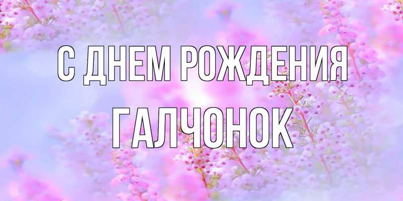 Картинка С днем рождения, галчонок