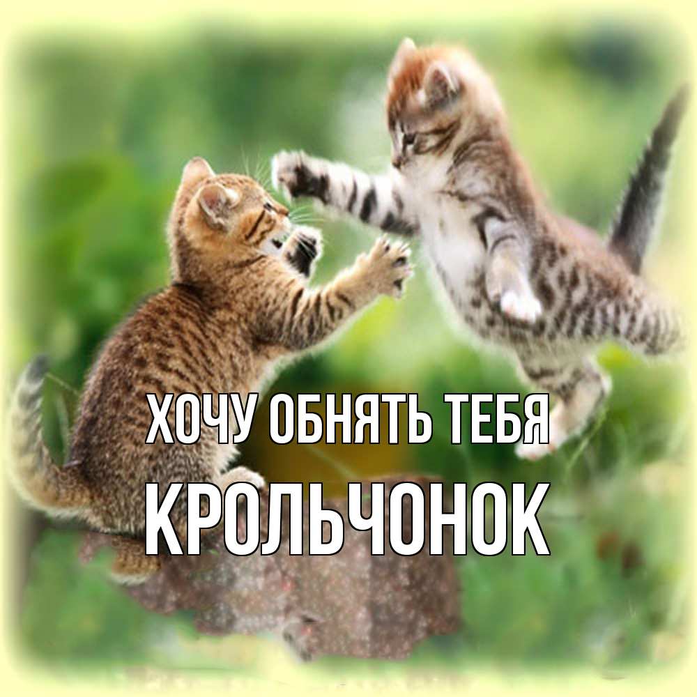 Открытка на каждый день с именем, Крольчонок Хочу обнять тебя игры котят Прикольная открытка с пожеланием онлайн скачать бесплатно 