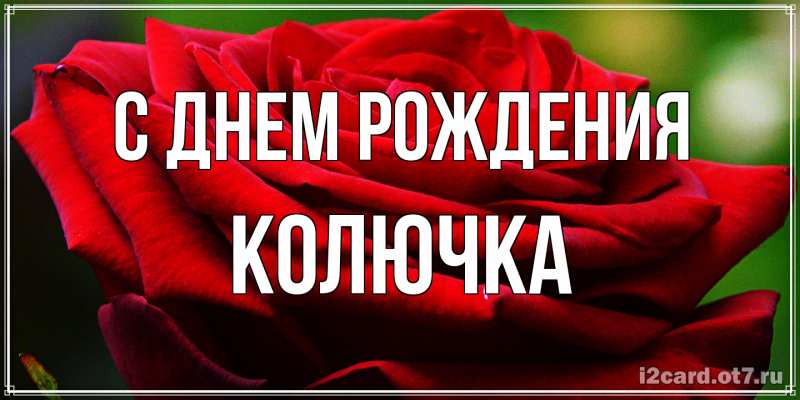 Картинка С днем рождения, Колючка