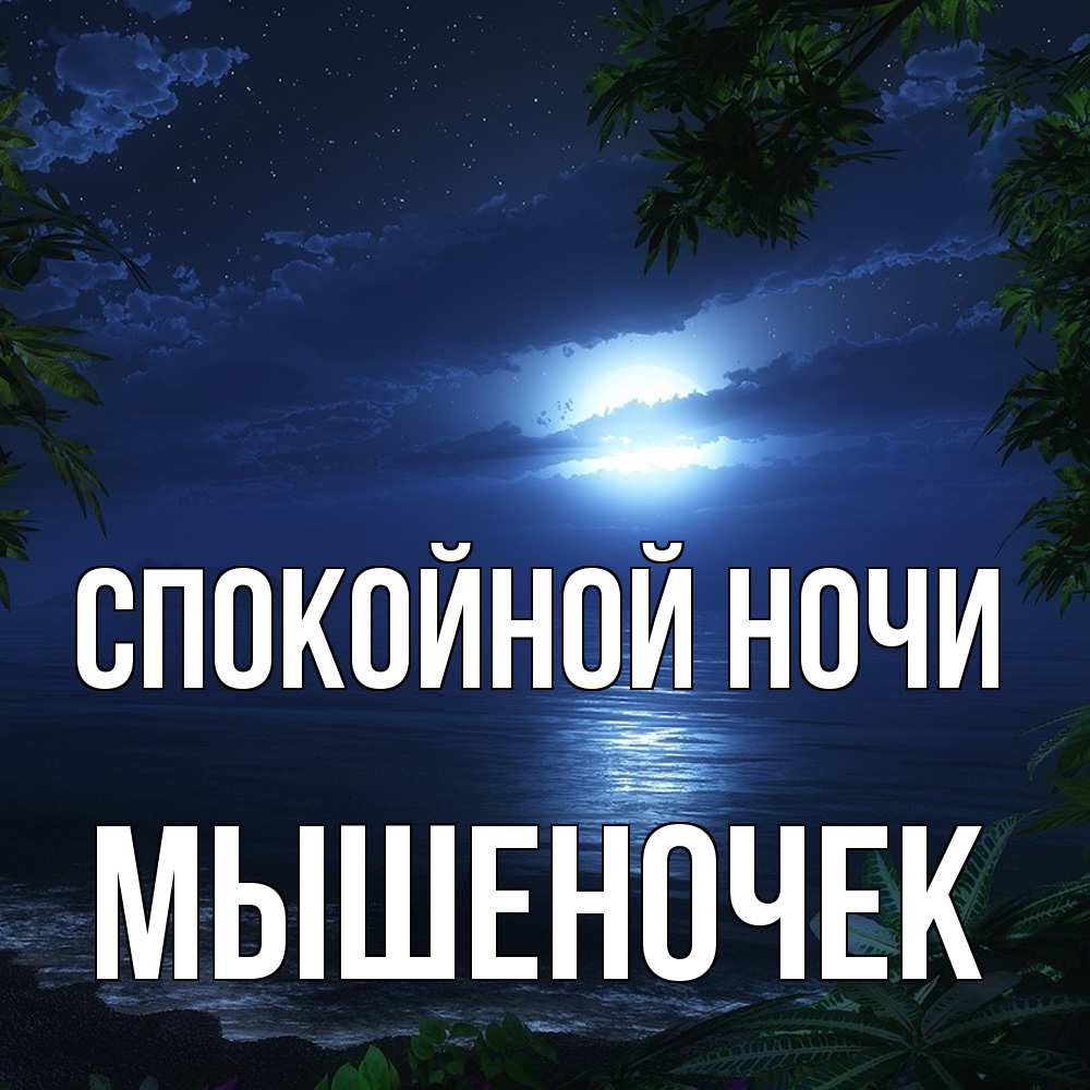 Открытка на каждый день с именем, Мышеночек Спокойной ночи тропический остров Прикольная открытка с пожеланием онлайн скачать бесплатно 