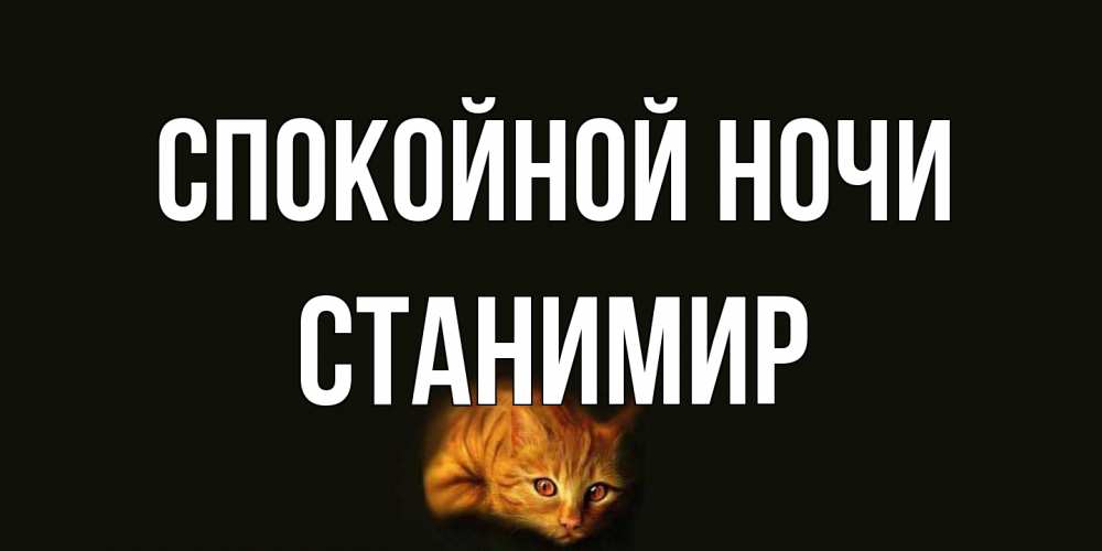 Открытка на каждый день с именем, Станимир Спокойной ночи кот Прикольная открытка с пожеланием онлайн скачать бесплатно 