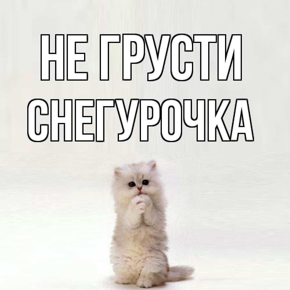 Открытка на каждый день с именем, Снегурочка Не грусти грустный кот Прикольная открытка с пожеланием онлайн скачать бесплатно 