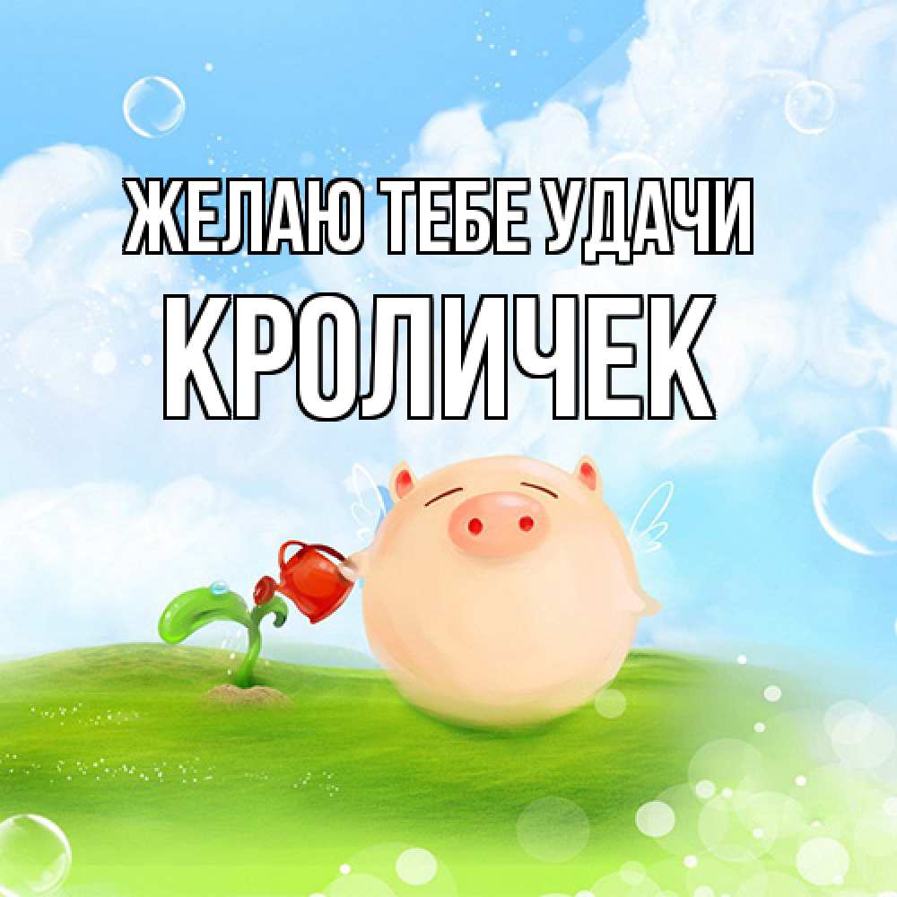 Открытка на каждый день с именем, кроличек Желаю тебе удачи поросенок поливает цветок. летнее настроение Прикольная открытка с пожеланием онлайн скачать бесплатно 