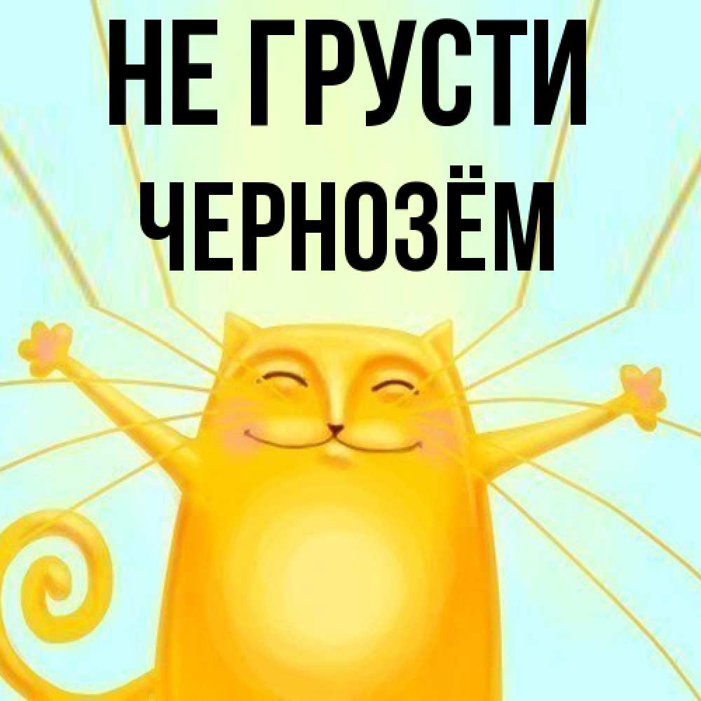 Открытка на каждый день с именем, Чернозём Не грусти обнимашки усатые Прикольная открытка с пожеланием онлайн скачать бесплатно 