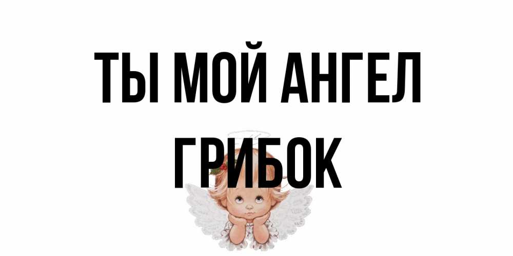 Открытка на каждый день с именем, Грибок Ты мой ангел ангел Прикольная открытка с пожеланием онлайн скачать бесплатно 