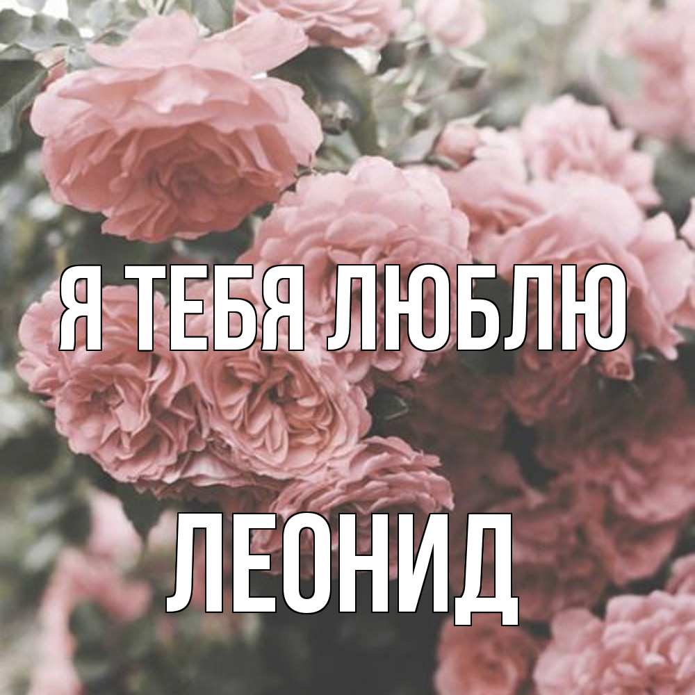 Открытка на каждый день с именем, Леонид Я тебя люблю розы 3 Прикольная открытка с пожеланием онлайн скачать бесплатно 