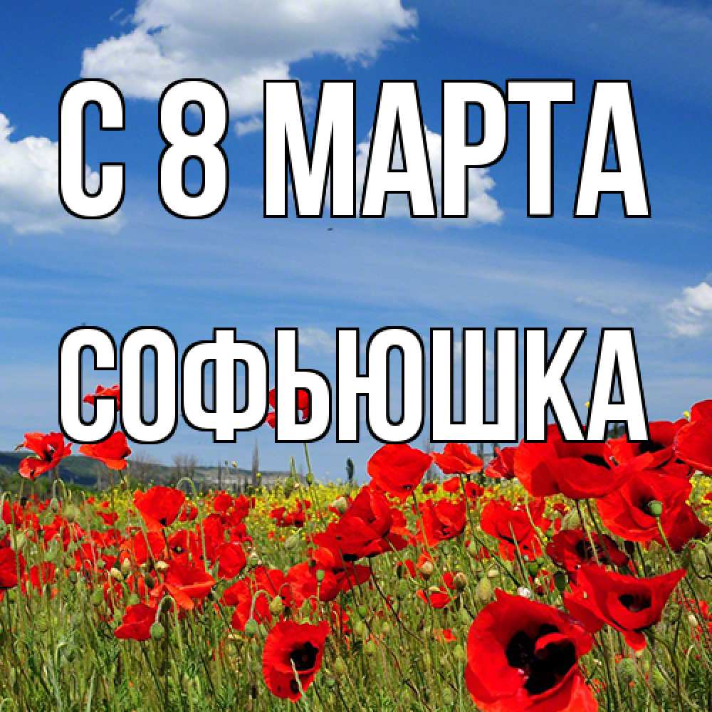 Открытка на каждый день с именем, Софьюшка C 8 МАРТА международный женский день 1 Прикольная открытка с пожеланием онлайн скачать бесплатно 