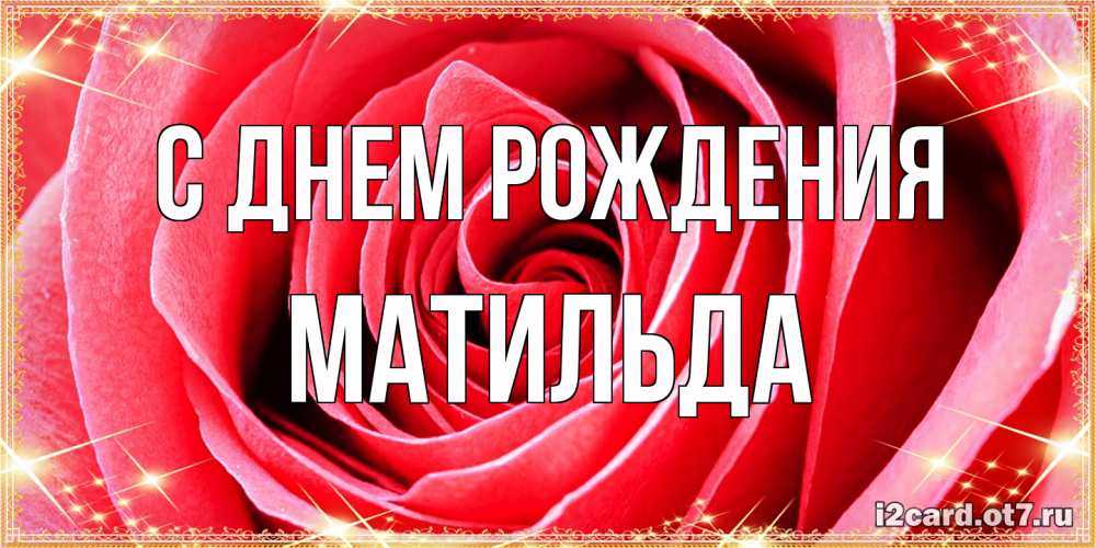 Открытка на каждый день с именем, Матильда С днем рождения розовая роза очень крупный бутон Прикольная открытка с пожеланием онлайн скачать бесплатно 