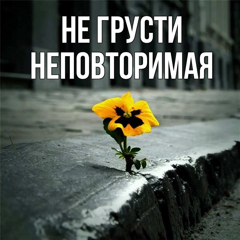 Открытка на каждый день с именем, Неповторимая Не грусти не сдавайся Прикольная открытка с пожеланием онлайн скачать бесплатно 