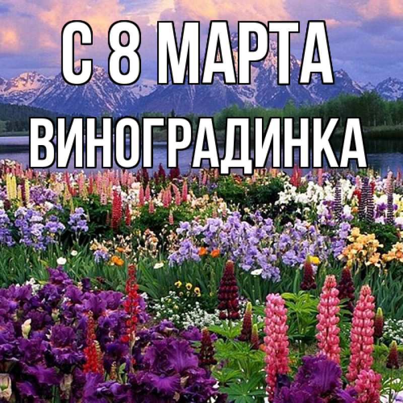 Картинка C 8 МАРТА, виноградинка