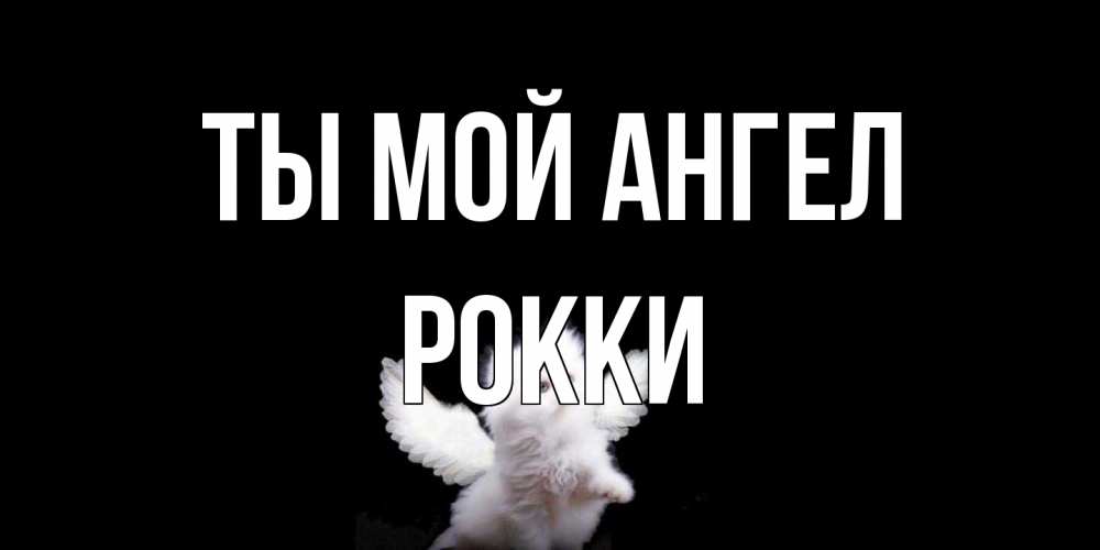 Открытка на каждый день с именем, Рокки Ты мой ангел Кот ангел Прикольная открытка с пожеланием онлайн скачать бесплатно 