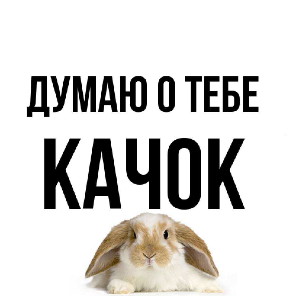 Открытка на каждый день с именем, Качок Думаю о тебе подписать своими руками онлайн Прикольная открытка с пожеланием онлайн скачать бесплатно 