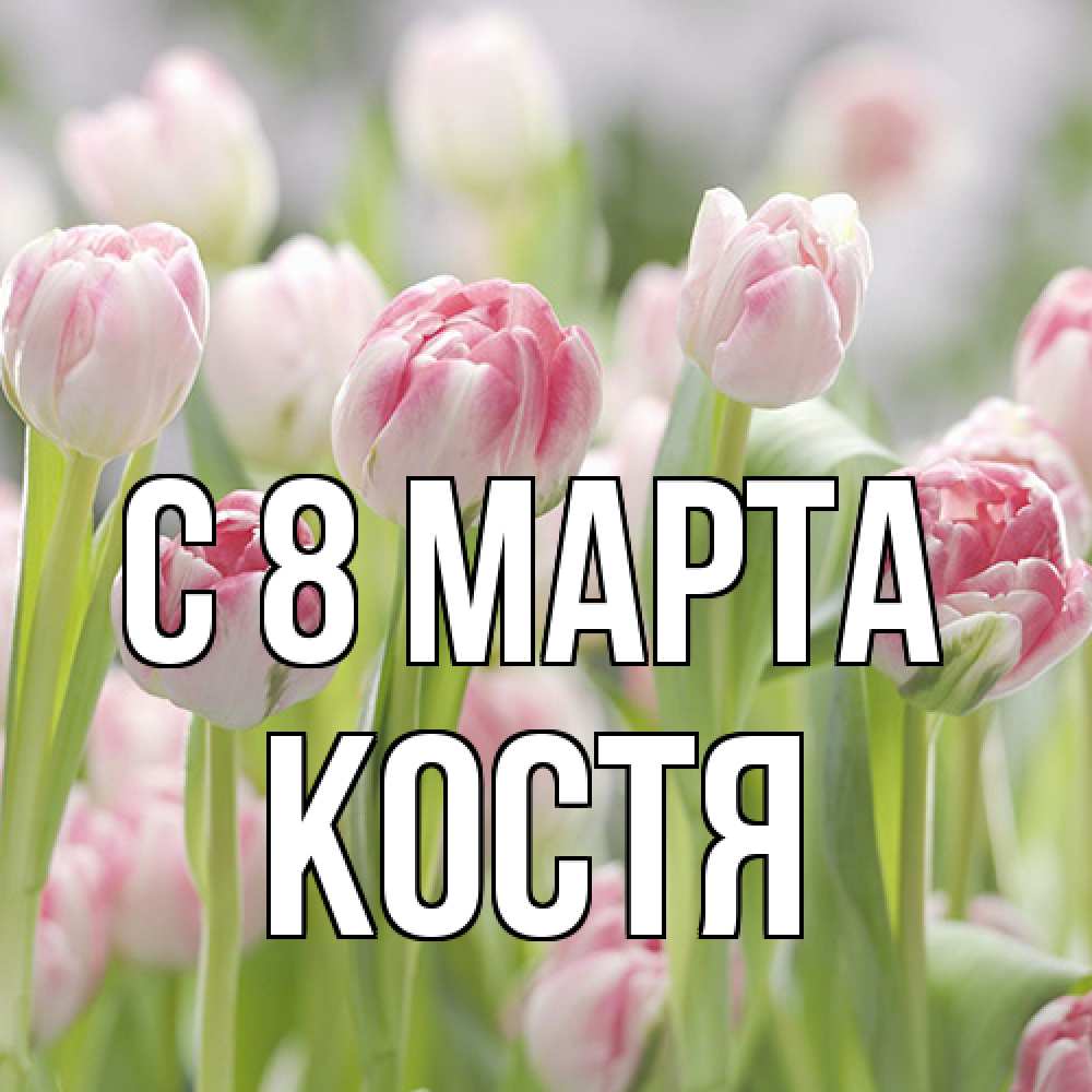Открытка на каждый день с именем, Костя C 8 МАРТА цветы Прикольная открытка с пожеланием онлайн скачать бесплатно 