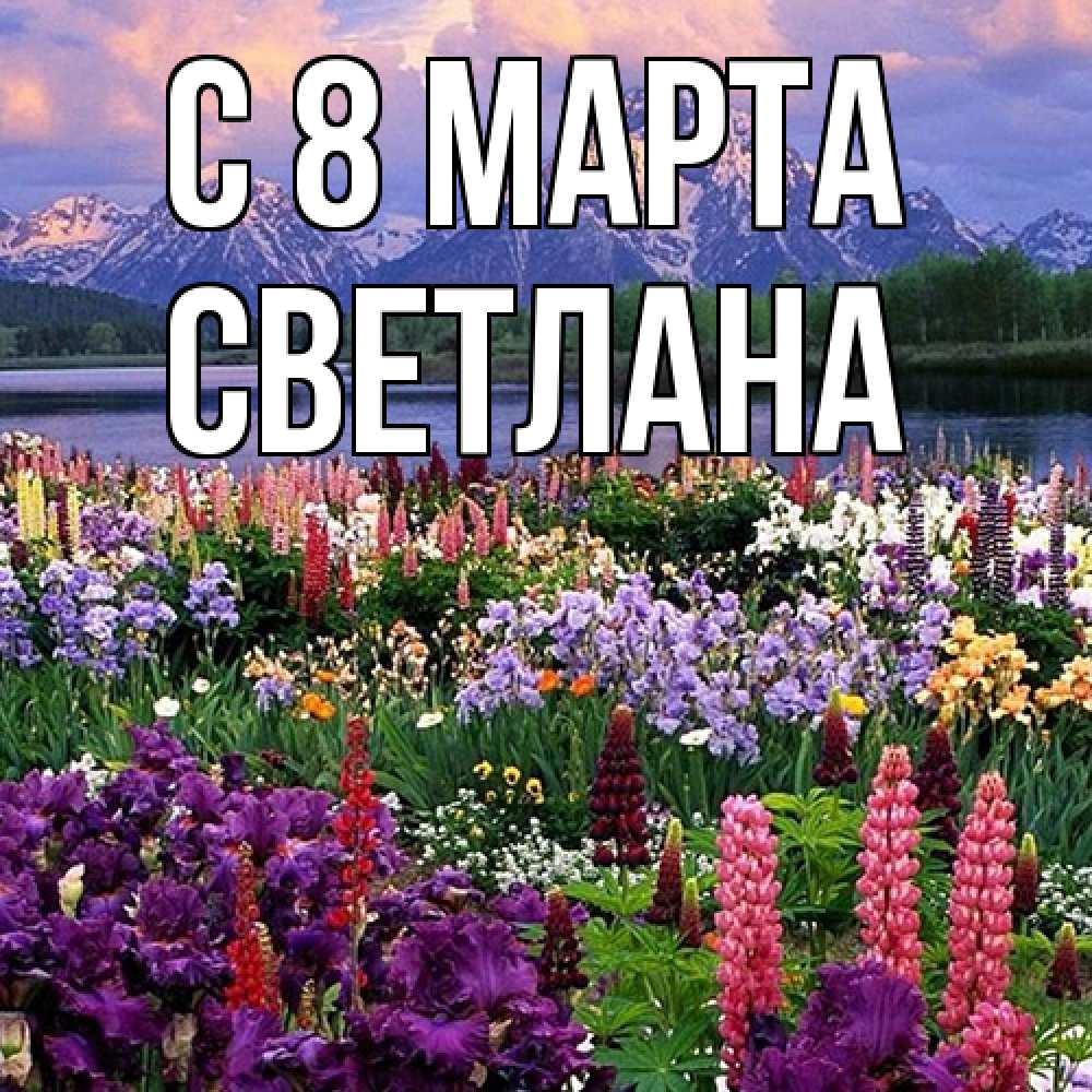 Открытка на каждый день с именем, Светлана C 8 МАРТА международный женский день Прикольная открытка с пожеланием онлайн скачать бесплатно 