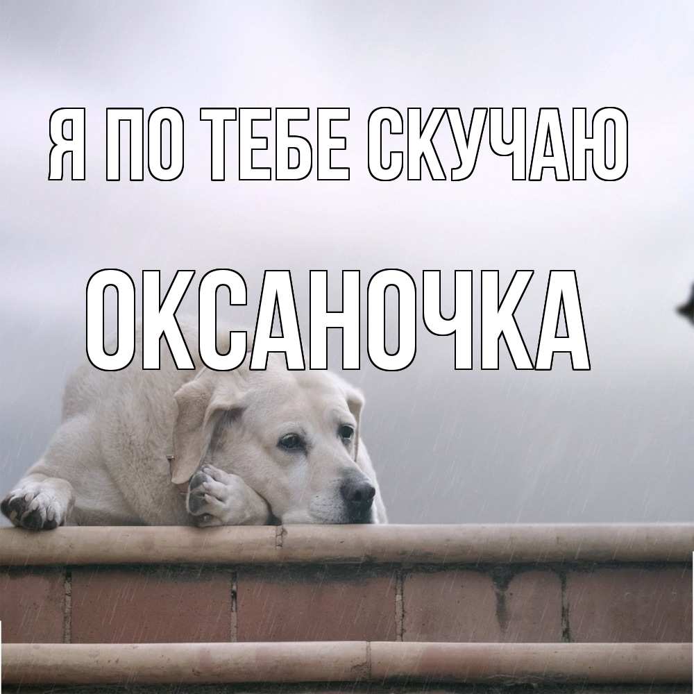 Открытка на каждый день с именем, Оксаночка Я по тебе скучаю ждет Прикольная открытка с пожеланием онлайн скачать бесплатно 