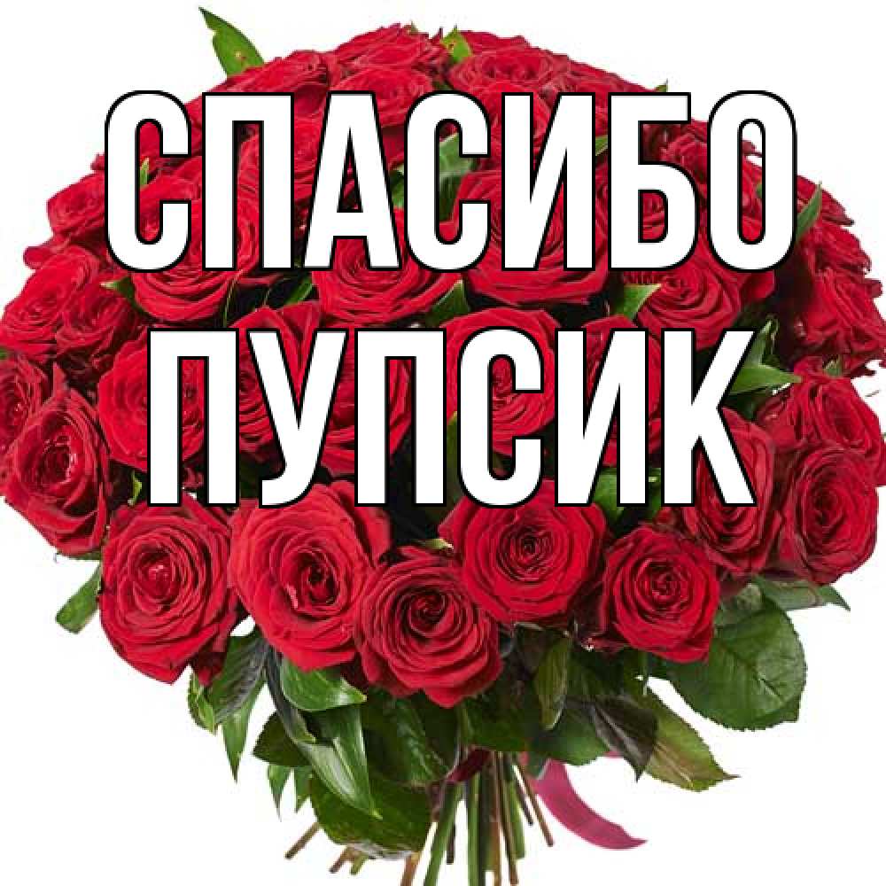 Открытка на каждый день с именем, пупсик Спасибо букет красных роз Прикольная открытка с пожеланием онлайн скачать бесплатно 