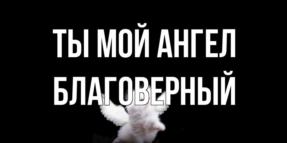 Открытка на каждый день с именем, Благоверный Ты мой ангел Кот ангел Прикольная открытка с пожеланием онлайн скачать бесплатно 