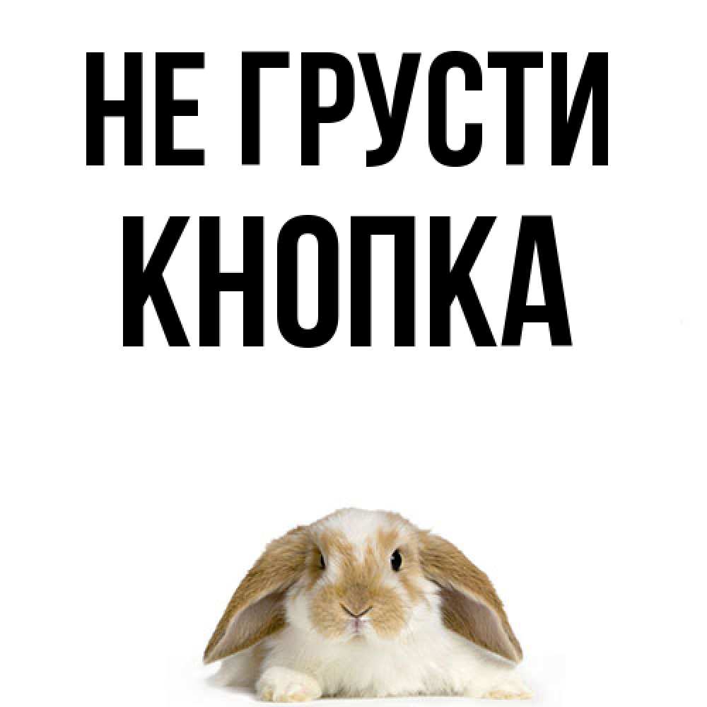 Открытка на каждый день с именем, Кнопка Не грусти коричнево белый заяц с большими ушками Прикольная открытка с пожеланием онлайн скачать бесплатно 