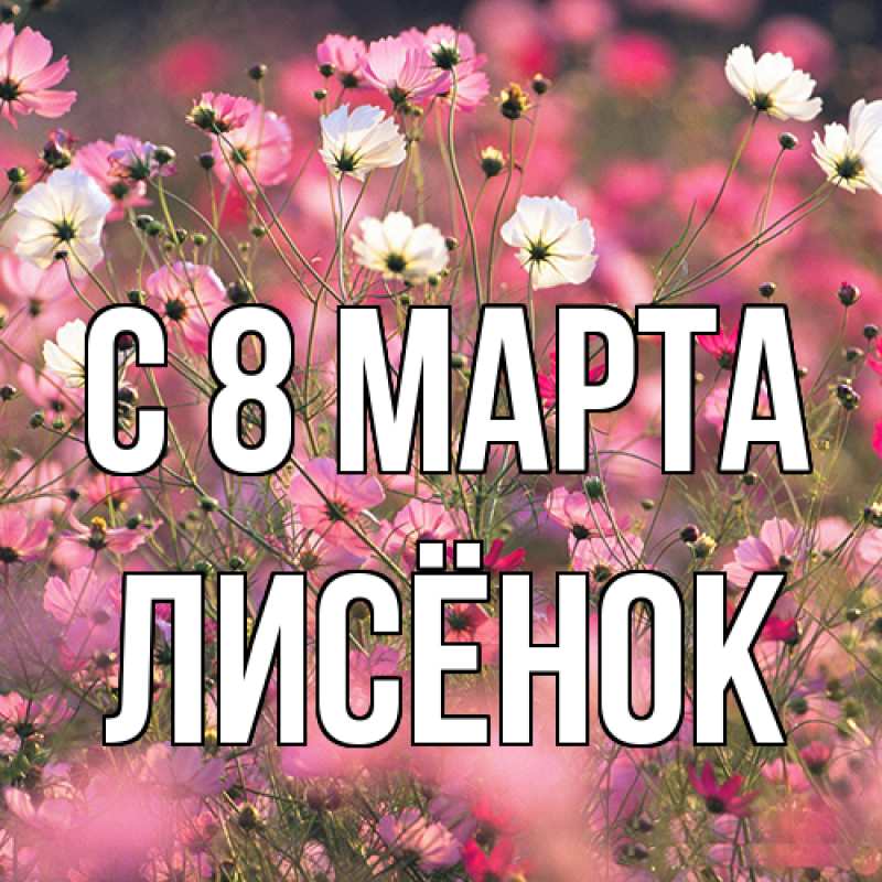 Картинка C 8 МАРТА, Лисёнок