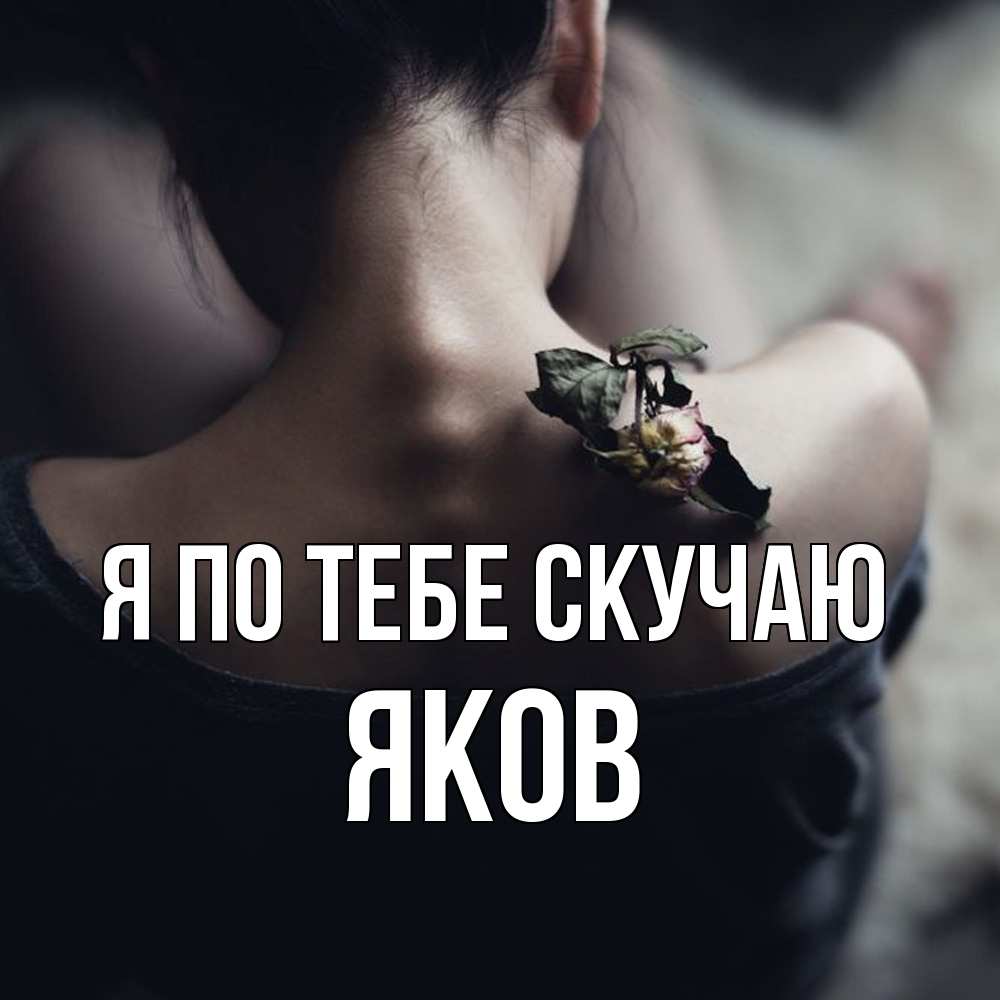 Открытка на каждый день с именем, Яков Я по тебе скучаю засох цветок Прикольная открытка с пожеланием онлайн скачать бесплатно 
