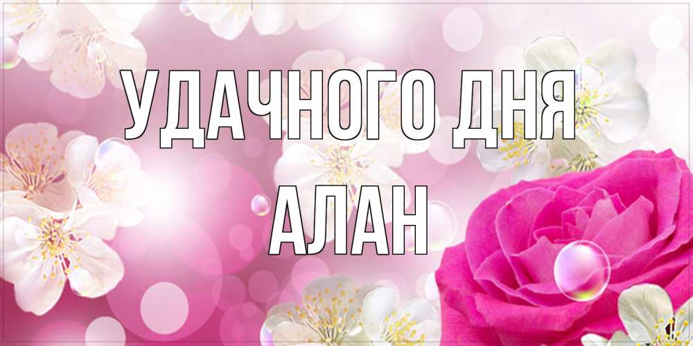 Открытка на каждый день с именем, Алан Удачного дня красивые цветы Прикольная открытка с пожеланием онлайн скачать бесплатно 