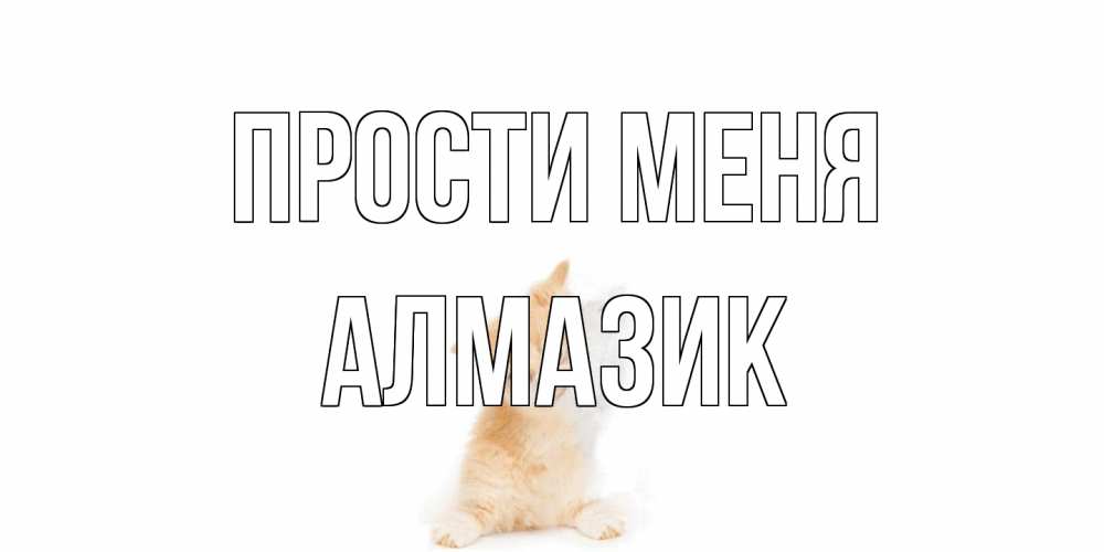 Открытка на каждый день с именем, Алмазик Прости меня кот Прикольная открытка с пожеланием онлайн скачать бесплатно 