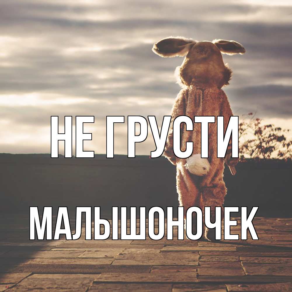 Открытка на каждый день с именем, Малышоночек Не грусти со спины Прикольная открытка с пожеланием онлайн скачать бесплатно 