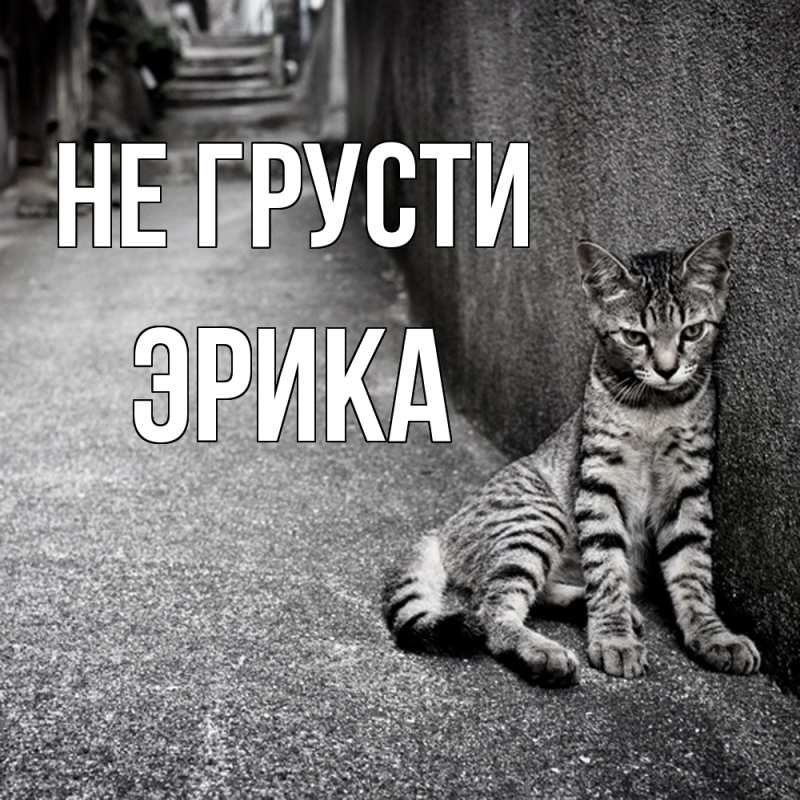 Картинка Не грусти, Эрика