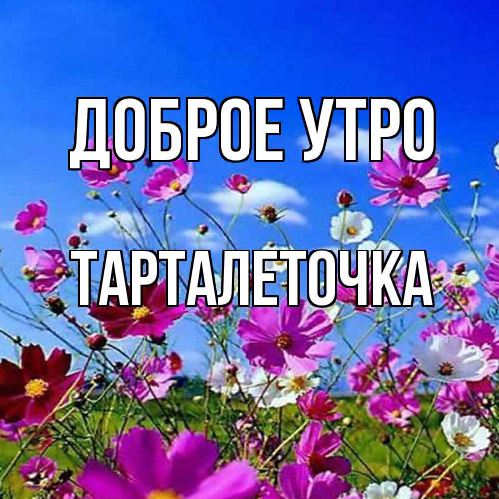 Открытка на каждый день с именем, Тарталеточка Доброе утро сиреневые цветы Прикольная открытка с пожеланием онлайн скачать бесплатно 