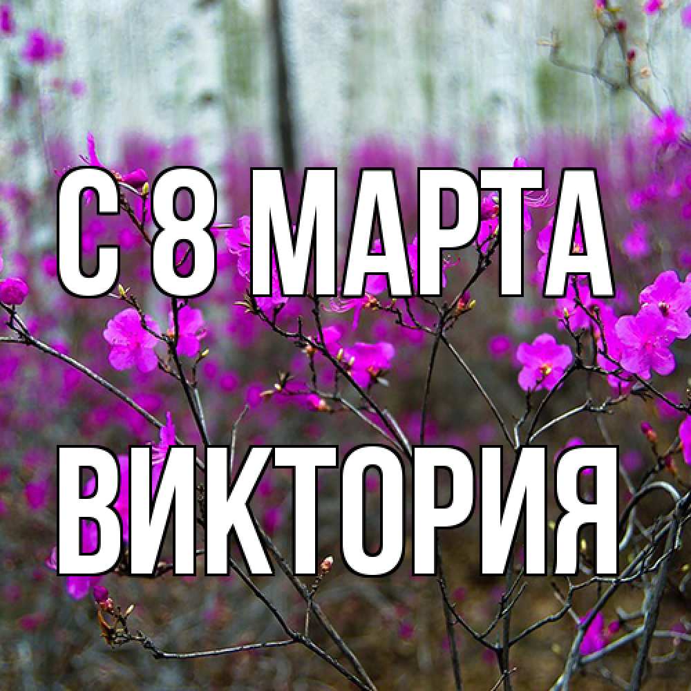 Открытка на каждый день с именем, Виктория C 8 МАРТА дикие цветы Прикольная открытка с пожеланием онлайн скачать бесплатно 