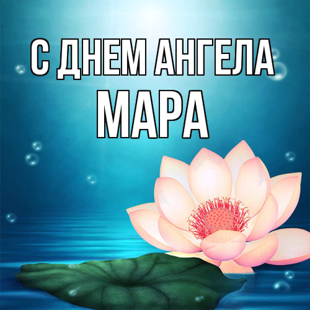 Открытка на каждый день с именем, Мара С днем ангела кувшинка Прикольная открытка с пожеланием онлайн скачать бесплатно 