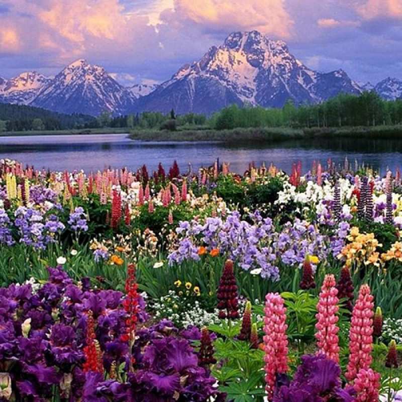 Картинка C 8 МАРТА, Вероника