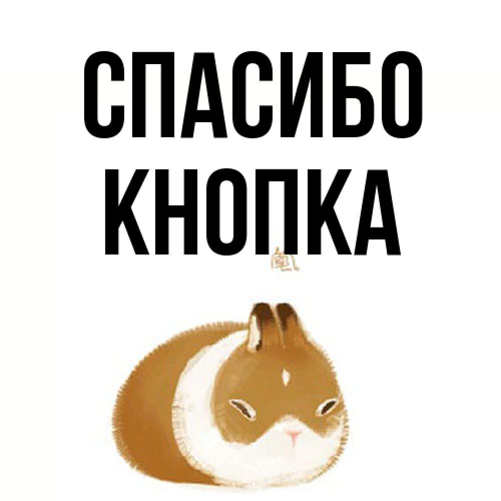 Открытка на каждый день с именем, Кнопка Спасибо коричнево белый домашний питомец Прикольная открытка с пожеланием онлайн скачать бесплатно 