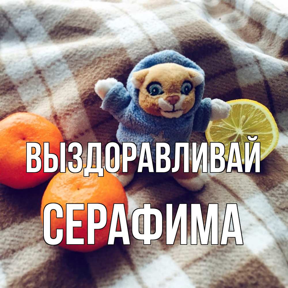 Открытка на каждый день с именем, Серафима Выздоравливай вот тебе апельсинка и лимон Прикольная открытка с пожеланием онлайн скачать бесплатно 