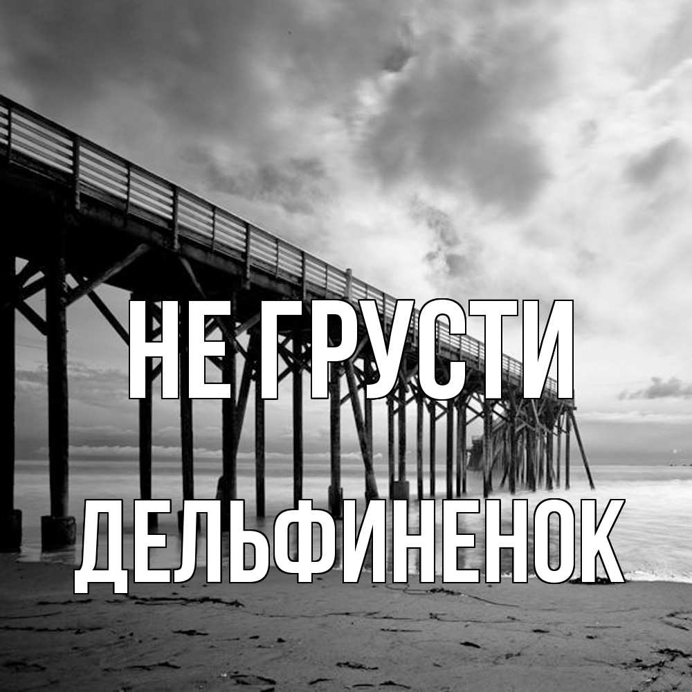 Открытка на каждый день с именем, дельфиненок Не грусти вода и пляж под мостом Прикольная открытка с пожеланием онлайн скачать бесплатно 