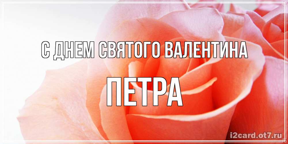 Открытка на каждый день с именем, Петра С днем Святого Валентина открытка на день Святого Валентина с розовой розой Прикольная открытка с пожеланием онлайн скачать бесплатно 