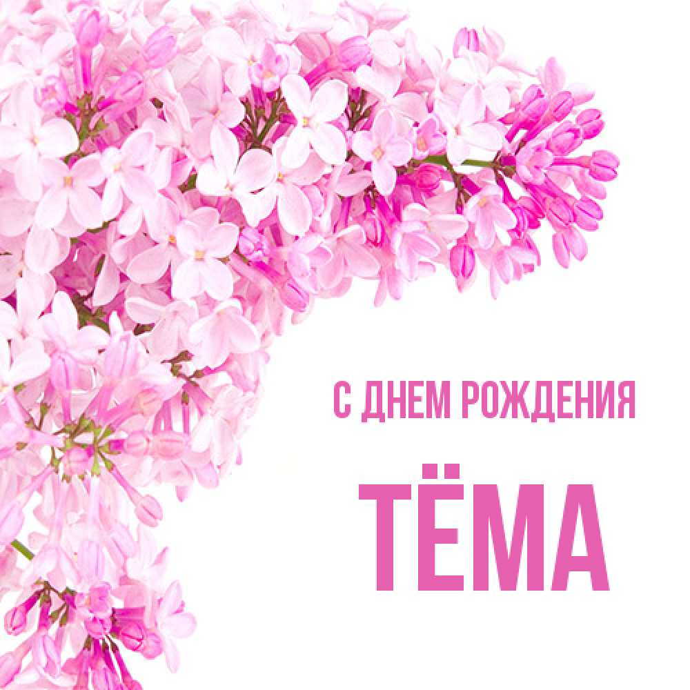 Открытка на каждый день с именем, Тёма С днем рождения Сирень на белом фоне Прикольная открытка с пожеланием онлайн скачать бесплатно 