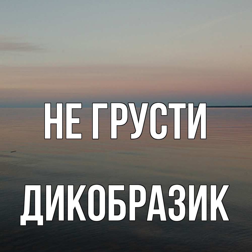 Открытка на каждый день с именем, дикобразик Не грусти водная гладь Прикольная открытка с пожеланием онлайн скачать бесплатно 