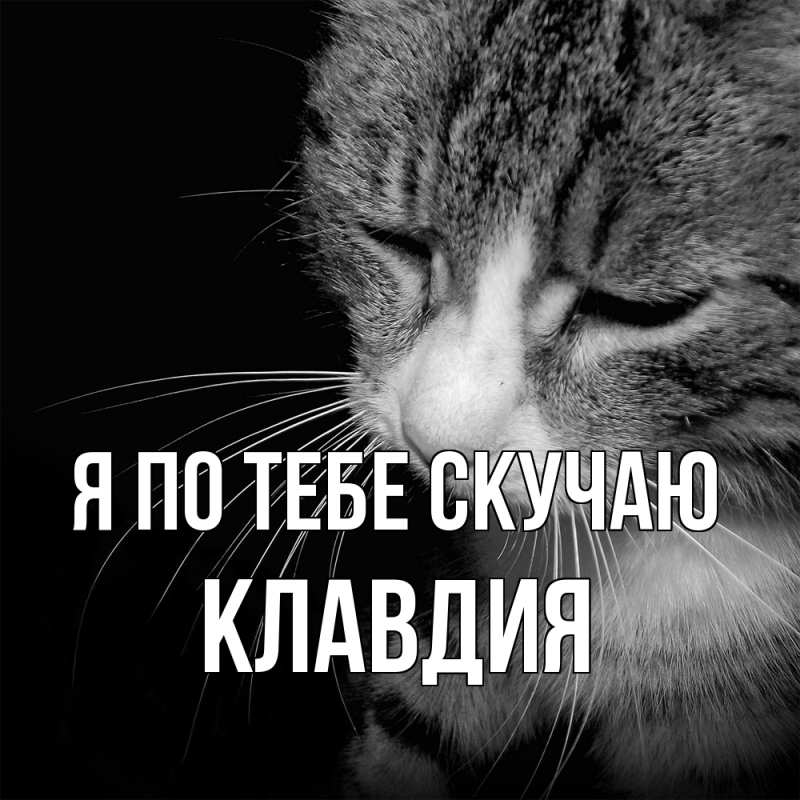 Картинка Я по тебе скучаю, Клавдия