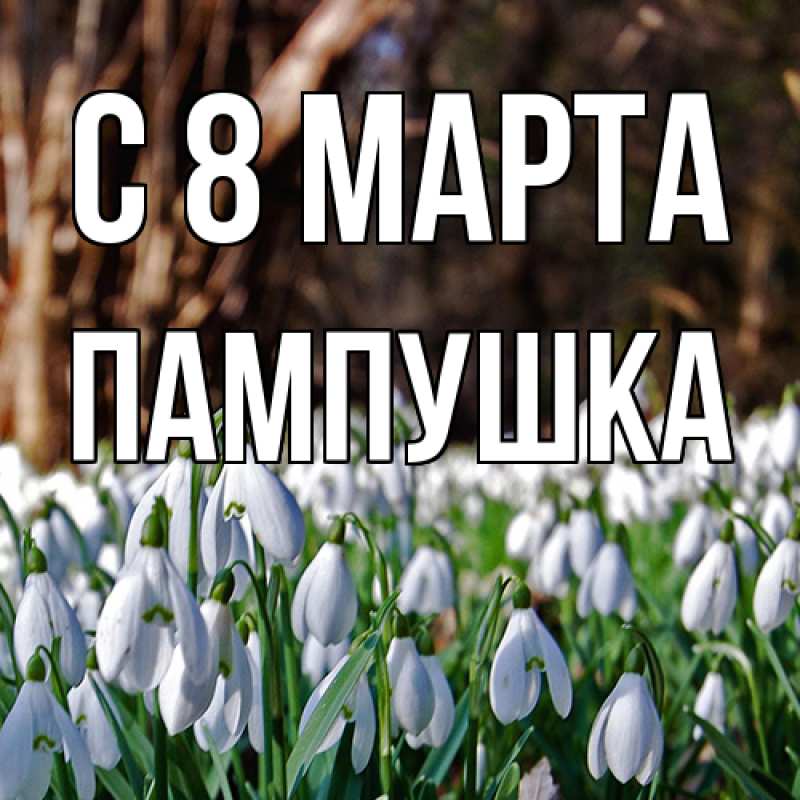 Картинка C 8 МАРТА, Пампушка
