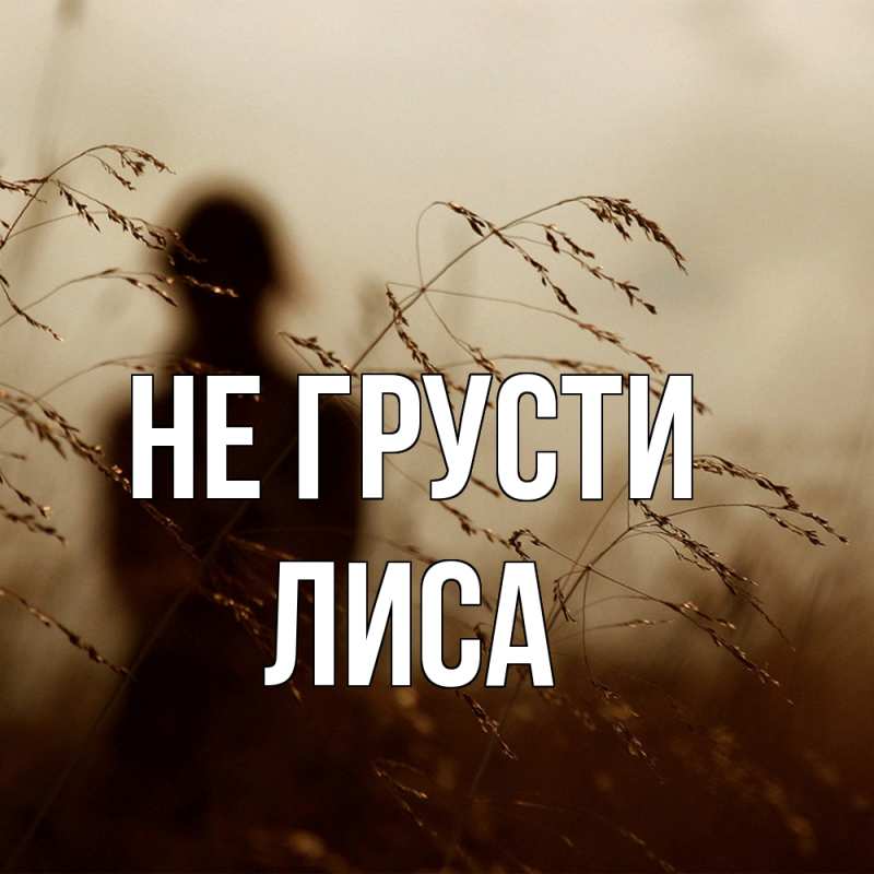 Картинка Не грусти, лиса