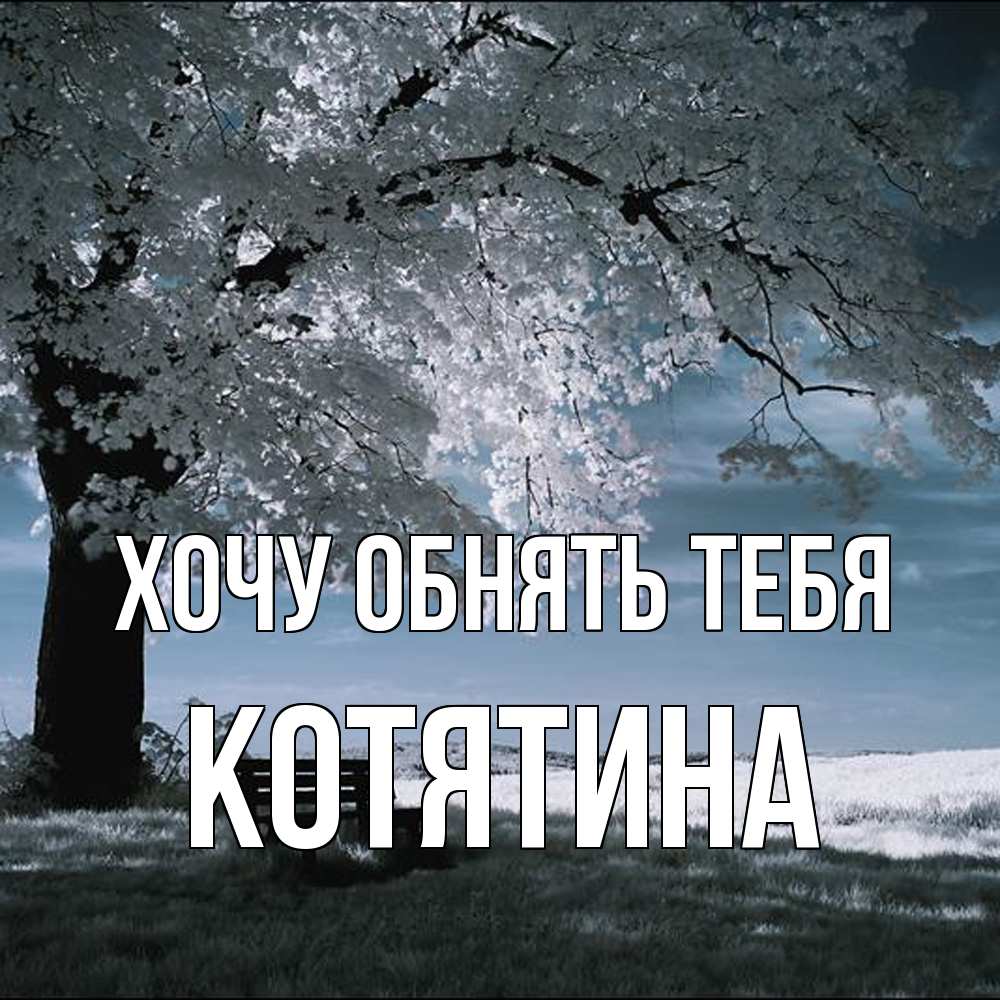 Открытка на каждый день с именем, Котятина Хочу обнять тебя дерево Прикольная открытка с пожеланием онлайн скачать бесплатно 