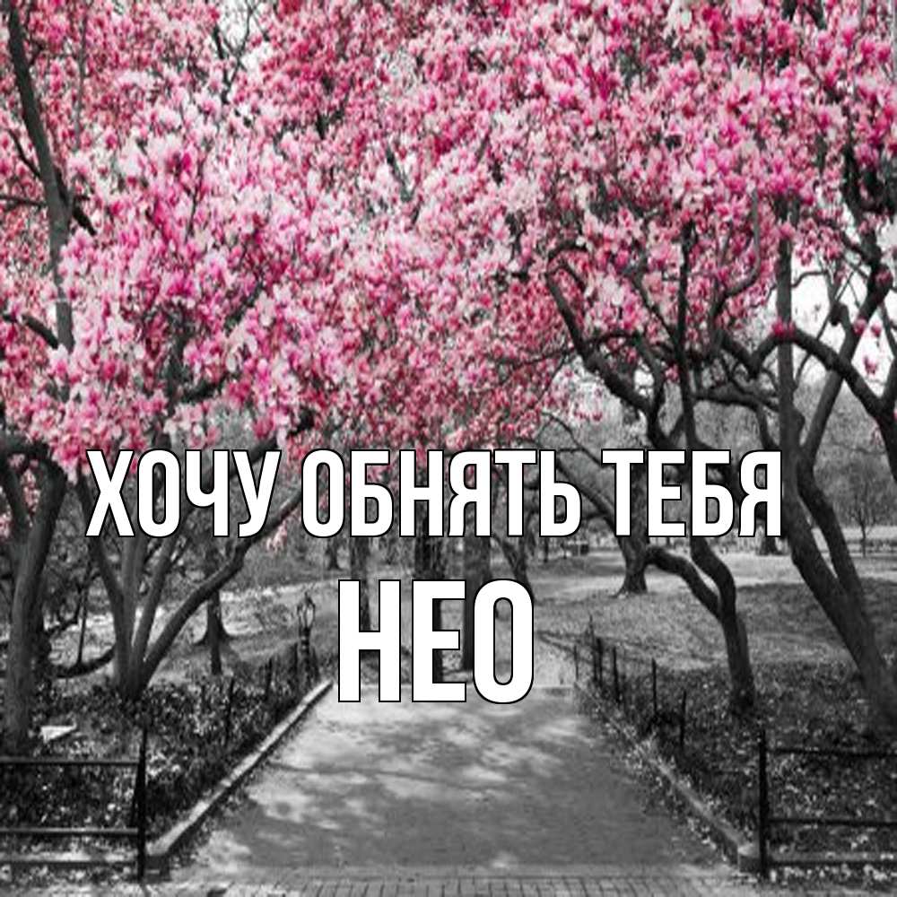Открытка на каждый день с именем, Нео Хочу обнять тебя обработанное фото Прикольная открытка с пожеланием онлайн скачать бесплатно 