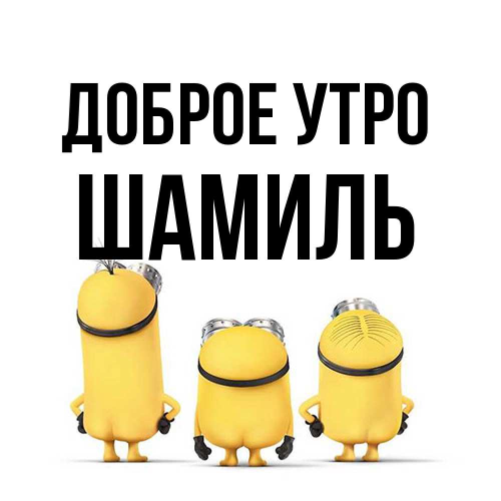 Открытка на каждый день с именем, Шамиль Доброе утро подписать открытку онлайн бесплатно Прикольная открытка с пожеланием онлайн скачать бесплатно 