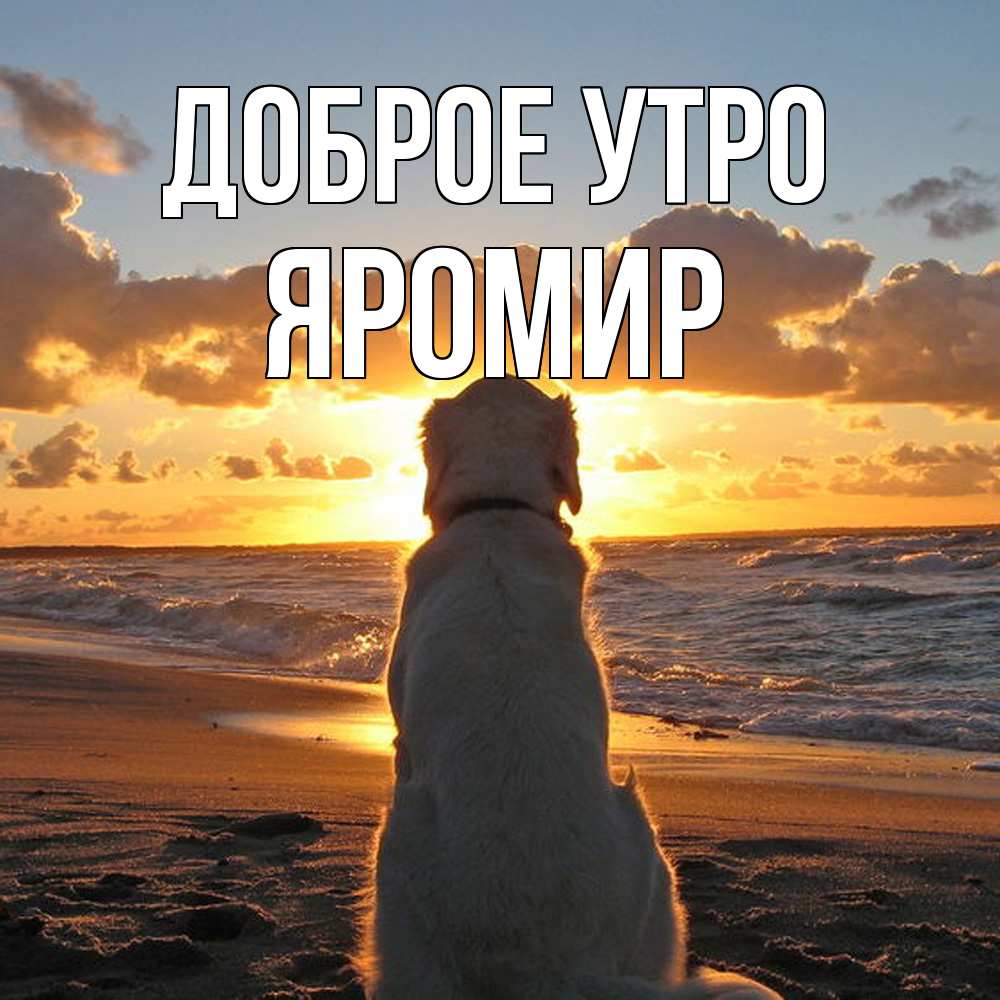 Открытка на каждый день с именем, Яромир Доброе утро восход солнца Прикольная открытка с пожеланием онлайн скачать бесплатно 
